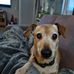Miriam Schmidt - Facebook