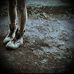 Miriam Schmidt - Facebook