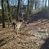 Miriam Schmidt - @miriam.schmidt5 - TikTok