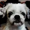 miriamschmidt01 - @miriamschmidt01 - TikTok