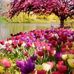 Miriam Solis - Facebook