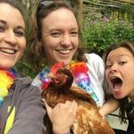 Miriam Webb - @mimblekins - Instagram