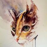 Werner Elisabeth - @miriam.werner.77 - Instagram