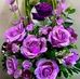 Miriam White - Facebook