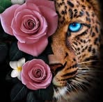 Miriam Yee - Facebook