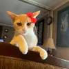mirnabarrera35 - @mirnabarrera35 - TikTok
