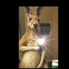 Mirna.Benitez❤️ - @mirna.benitez463 - TikTok