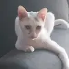 Mirna Cepeda - @mirna.cepeda - TikTok