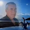 Mirna Davison - @mirnadavison - TikTok