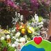 Mirna Nereida Guerrero Galvan - Facebook