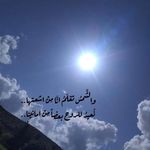 Mirna Hammoud - @hammoud.453 - Instagram