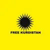 ✹kurdin - @mirnahussein47 - TikTok