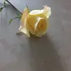 Mirna Jimenez - @mirna.jimenez5 - TikTok