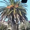 Mirna Jimenez - @mirnajimenez1 - TikTok