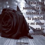 Mirna L Lemus - @mirnallemus.mirnalemus - Instagram