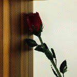 @mirna_malek_ - Instagram
