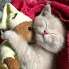 Mirna - @mirnamalek2 - TikTok