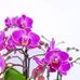 Mirna Alvares Mendiola - Facebook