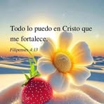 Mirna Roque - Facebook