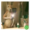 Mirna Rosa - @mirna.rosa18 - TikTok