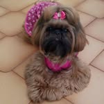 Mirna Rosa Horvat - @mirnarosahorvat - Instagram