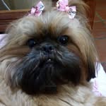 mirna rosa horvat - @horvatmirnarosa - Instagram