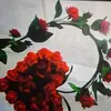 Mirna Sandoval - @mirnasandoval44 - TikTok