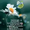 Mirna Suarez - @mirna.suarez95 - TikTok