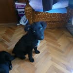 Miroslav Tomić - @tomic927 - Instagram