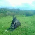 Mirsad Colic - @mirsad.colic.1610 - Instagram