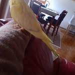 Mirsad Dedic - @mirsad.dedic.910913 - Instagram