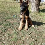 Mirsad Dedic - @mirsad.dedic.58152 - Instagram
