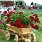 Mirsad Dedic - Facebook