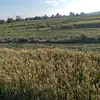 mirsaddedic945 - @user12456543e3334333 - TikTok