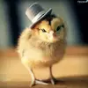 Mirsad Muratovic391 - @ledeninkralj - TikTok