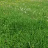 Mirsad Muratovic - @mirsad.muratovic66 - TikTok