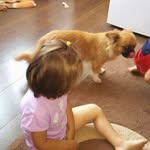 Mirsada Eldin Demir Ramić - @demirramic - Instagram