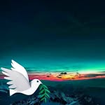 Mirsada Ramic - @mirsada.ramic.397 - Instagram