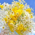 Mirsada Sakic - Facebook