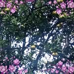 Mirta Brito - @mirta.brito.75 - Instagram