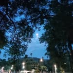 mirta bruno - @tamira2711 - Instagram