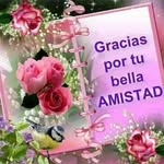 Mirta Campos - @mirta.campos.7374 - Instagram