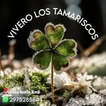 Mirta Castro - @vivero_los_tamariscos - Instagram