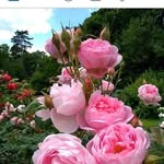 Mirta Castro - @mirtacastro439 - Instagram