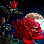 Marta Collazo - Facebook