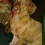 Mirta Crespo - @mirta7679 - Instagram