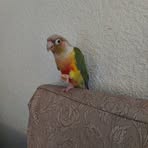 Mirta Deleon - Facebook