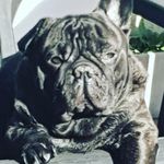 Mirta Gomez - @_mirta_gomez - Instagram