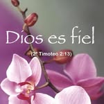 Mirta Hernandez - @mirta.hernandez.7771586 - Instagram