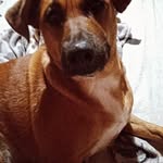 Mirta Leon - @leon_mirta - Instagram